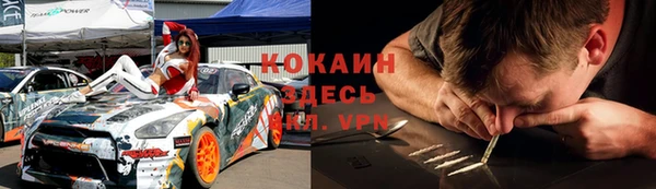 шишки Видное