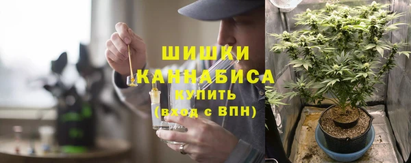 мяу мяу мука Пересвет