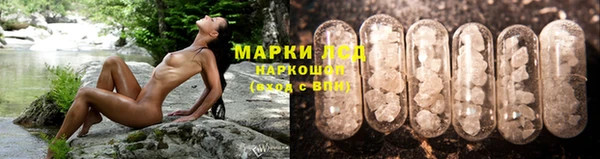 прущие грибы Осташков